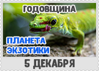 5 декабря: День рождения Информационно-развлекательного портала «Планета Экзотики»